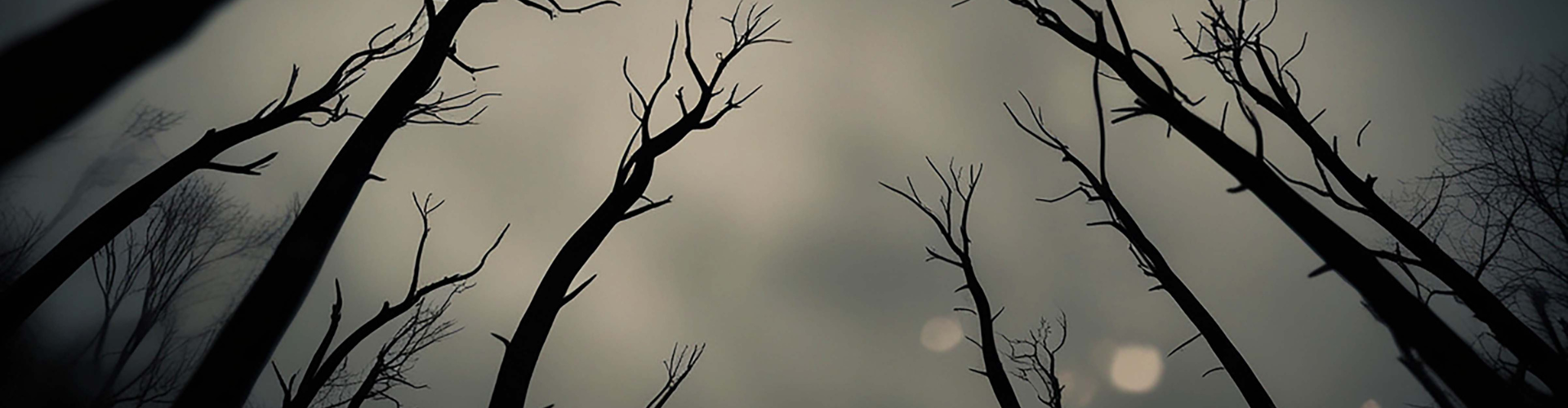 Camera, lighting, colour palette and typography showing different media codes